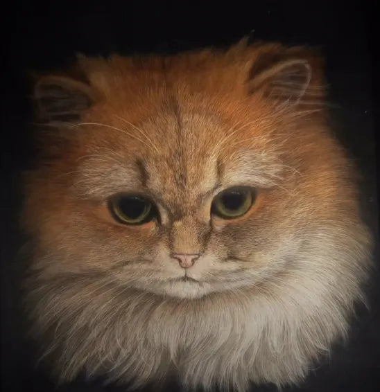 custom cat portrait gift with clear eyes and soft lighting