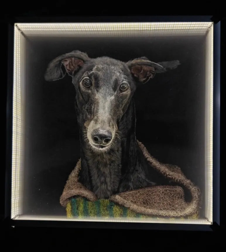 custom dog portrait example with clear eyes and minimal background