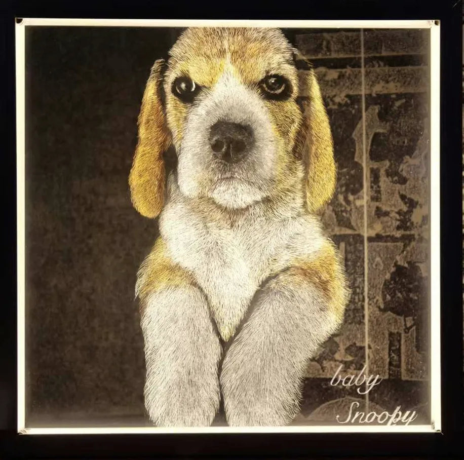 scratchboard style pet portrait wall decor modern home display custom pet art